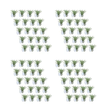80 Шт Воздушный Держатель Для растений, Горшок Для растений Tillandsia Holder Воздушная Вешалка Для растений С Присоской Для подвешивания (Растения в комплект не входят)