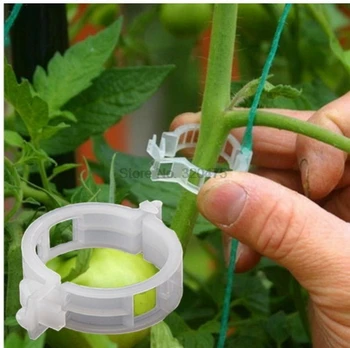 DHL 100 пакет 50 шт./пакет Зажимы для поддержки садовых растений из помидоров садовые украшения для теплицы зажимы для прививки томатов