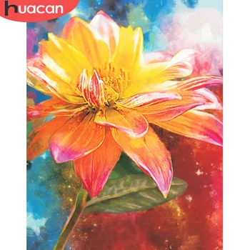 HUACAN Wall Art Краска по номерам Цветок на холсте Уникальный подарок Рамка для рисования своими руками Картина по номерам для гостиной