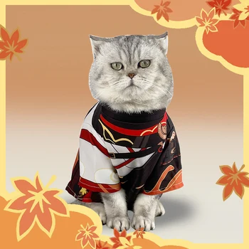Аниме Genshin Impact Каэдехара Казуха Одежда для маленькой кошки Плащ с капюшоном Пальто Косплей Реквизит для фотосессии Товары для собак Накидка для домашних животных