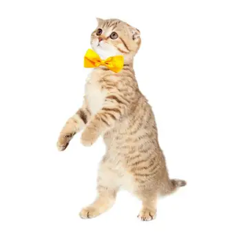 Ожерелье для домашних собак и кошек, официальный галстук, Регулируемый ремешок, галстук-бабочка, ошейник для кошек, аксессуары для собак, костюм для маленьких средних собак и кошек Изображение 2